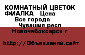 КОМНАТНЫЙ ЦВЕТОК -ФИАЛКА › Цена ­ 1 500 - Все города  »    . Чувашия респ.,Новочебоксарск г.